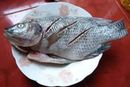 Make Home burning fish step 0