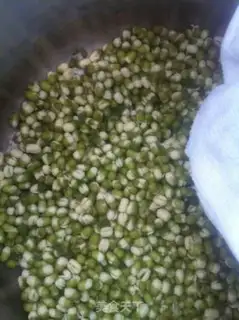 Make Homemade green bean buds step 5