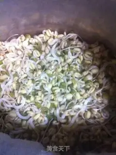 Make Homemade green bean buds step 9
