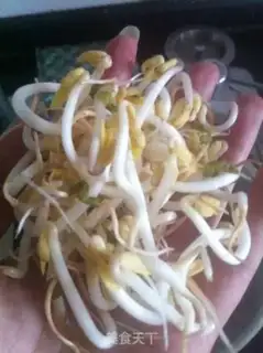 Make Homemade green bean buds step 10