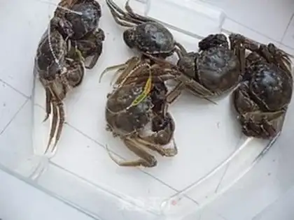 Make Spicy Fried crabs step 0