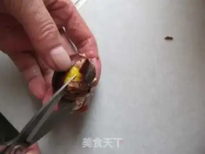 Make Simple chestnuts step 4