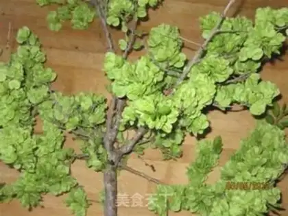 Make Elm egg step 1
