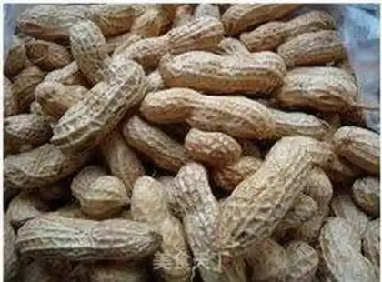 Make Salted peanuts step 0