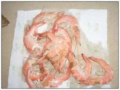 Make Shrimp step 4