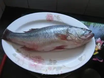 Make Vacuate herring step 0