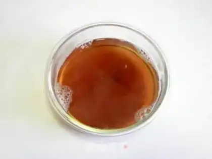 Make foie grass with pelican juice step 3