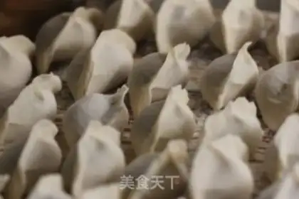 Make The dumplings step 9
