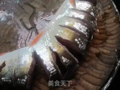 Make Dragon step 1