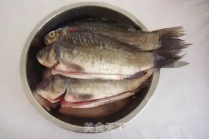 Make Red-burned minnow step 0