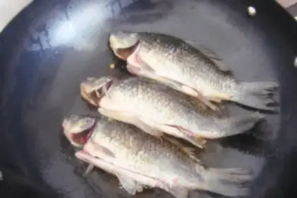 Make Red-burned minnow step 2