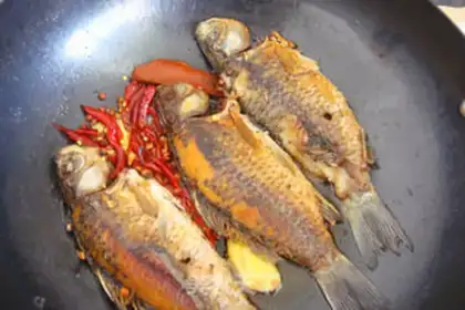 Make Red-burned minnow step 4