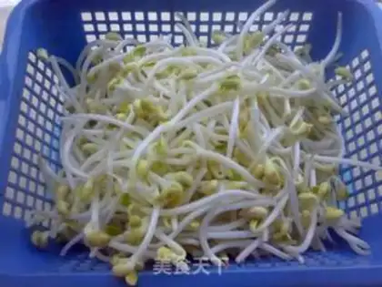 Make Soybean sprouts step 1