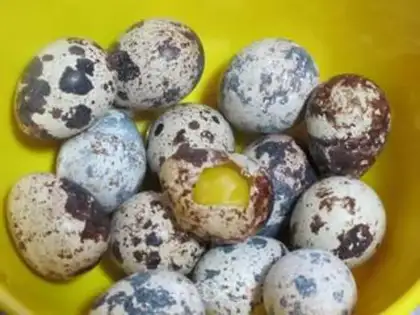 Make Mini-bore eggs step 0