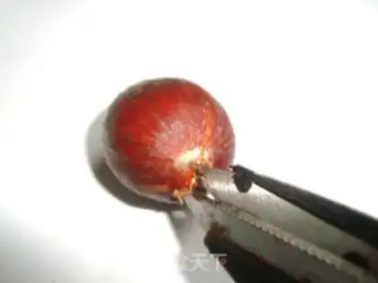 Make Chestnuts step 2