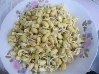 Make Bean sprouts step 0