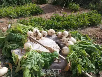 Make The radish step 0