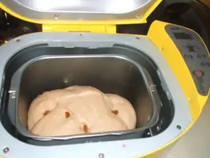 Make Chocolate-fruit bread step 4