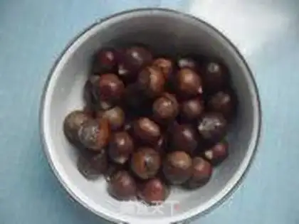 Make Chestnut step 0