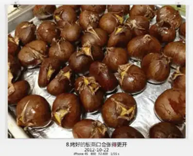 Make Chestnut step 7