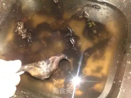 Make Boil the horn step 0