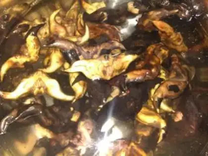 Make Boil the horn step 1