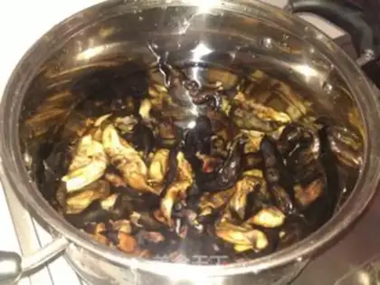Make Boil the horn step 3