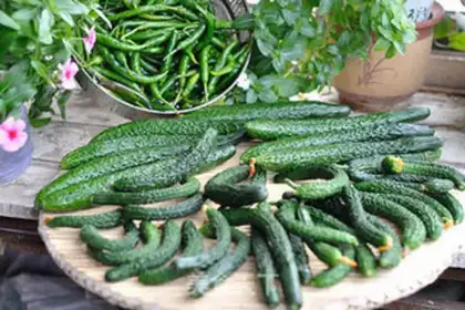 Make Spicy cucumber step 0