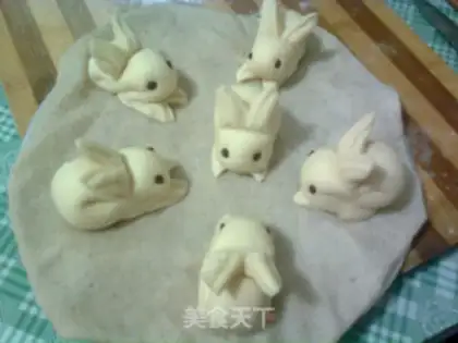 Make Rabbit step 8