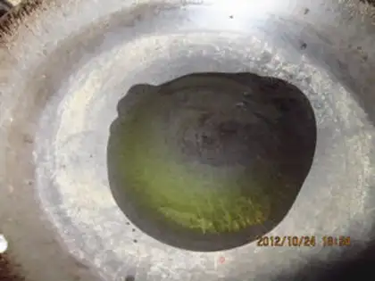 Make Frozen fish and grass step 5