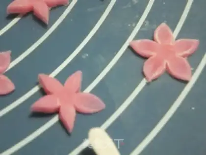 Make Five-leaf rice cake step 3