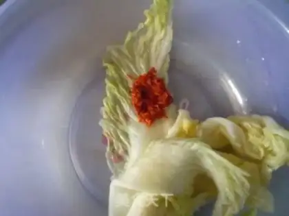 Make Homemade cabbage step 9