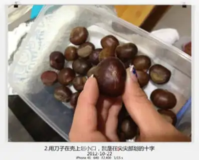 Make Chestnut step 1