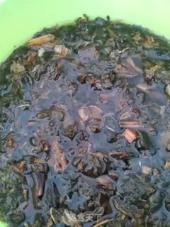 Make Plum chow step 1