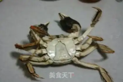 Make Crab-breed orange step 9