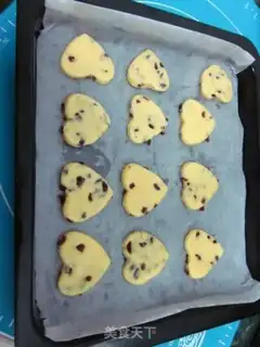 Make Cranberry scon step 10