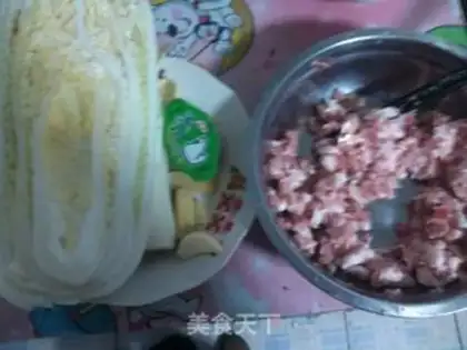 Make Pork dumplings step 1
