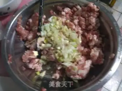 Make Pork dumplings step 9