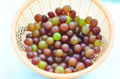 Make Homemade red wine step 0