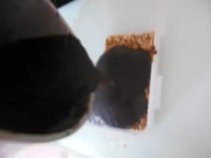 Make Ogurt step 15