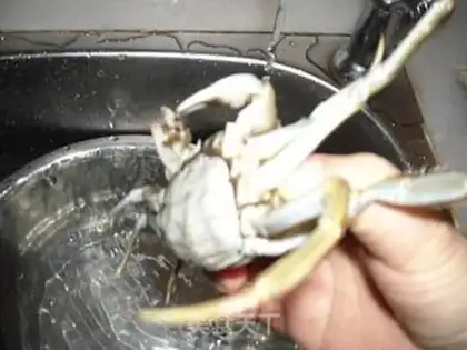 Make Crabs step 2