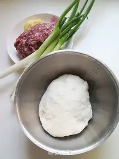 Make Onion meatloaf step 0