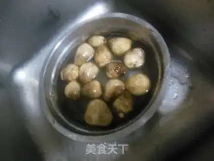 Make Pelican mushrooms with new orchids step 1
