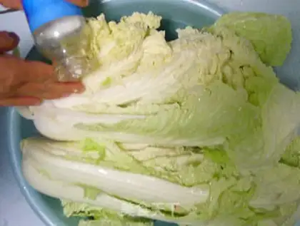 Make Hot cabbage step 1