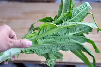 Make Precious leaf step 0