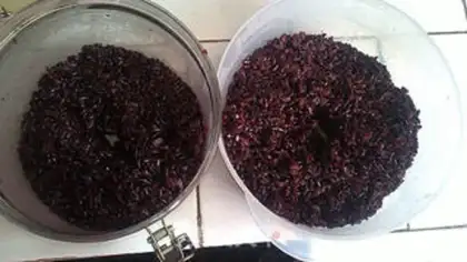 Make Black rice wine step 4
