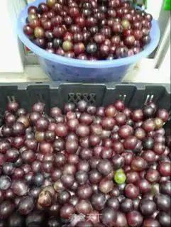 Make Homemade wine step 2