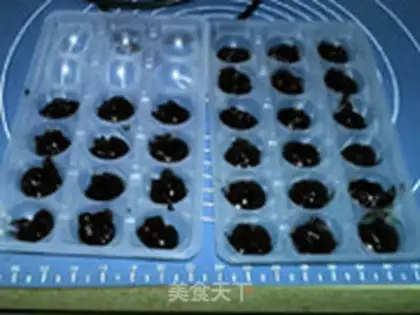 Make Vanilla truffle step 7