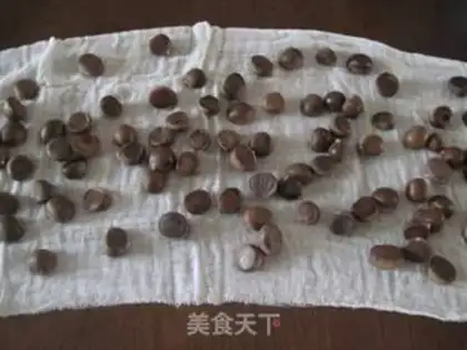 Make Chestnut step 0