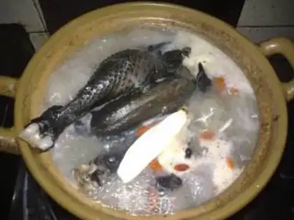 Make Chicken soup step 5